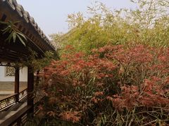 -水西公园