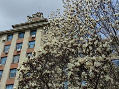 -东北大学(南湖校区)