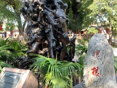 -大槐树寻根祭祖园