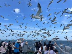 -海驴岛(荣成市)