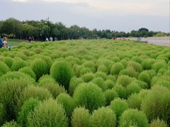 -天津东丽湖风景区