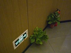 -耳湾躺式采耳SPA馆(保利五月花店)