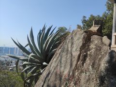 -云洞岩风景区