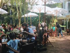 -Fern Forest Cafe