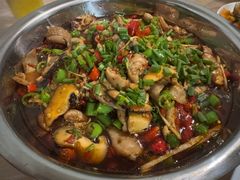 -食神又名厕所兔