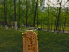 -重庆中央公园(渝北区)