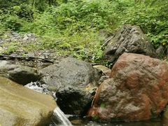 -云岫谷自然风景区