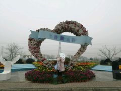 -紫颐香薰山谷景区