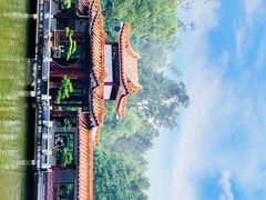 -深圳仙湖植物园