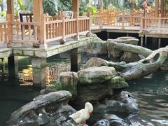 -南宫五洲植物乐园