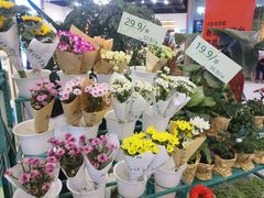 -BoBloom花店(晶耀前滩店)