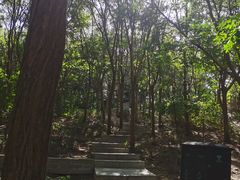 -南翠屏公园