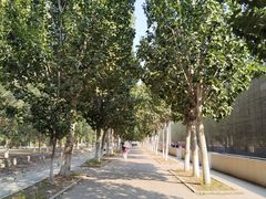 -中国唐山地震博物馆