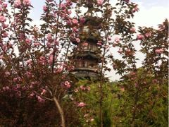 -上海佘山国家森林公园西佘山园