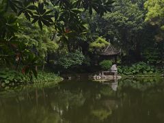 -深圳国际园林花卉博览园