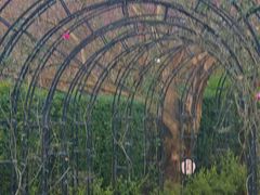 -福建鲤鱼洲酒店