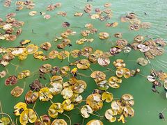 -云龙湖旅游景区