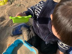 -大兴滨河森林公园