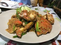 -Jungle Kitchen
