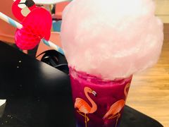 一半是海洋一半是火焰-随心小姐