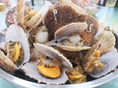 -四海蒸鲜蒸汽海鲜自助(北戴河店)