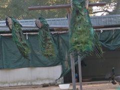 -苏州上方山国家森林公园