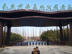 -黄海国家森林公园