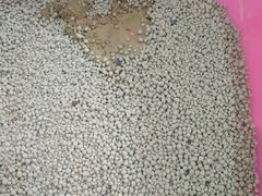 -汪喵宠物医院·骨科心脏影像·犬猫急重症ICU诊疗中心(成华分院)