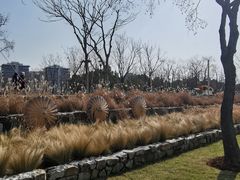 -上海山野camping·户外天幕烧烤·团建拓展营地