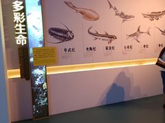 -上海中国航海博物馆