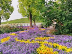 -南通洲际绿博园