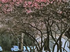 -青龙山国家森林公园