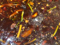 -乡土特色.冷锅鱼.牦牛肉汤锅