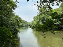 -白马涧龙池景区