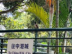 -九龙公园