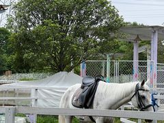 -桃园农庄·桃源宴