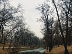 -承德避暑山庄景区