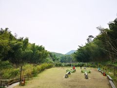 -宁波浙东大竹海景区