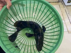 -鑫鸿达·海鲜闽菜热炒小馆(中山路店)