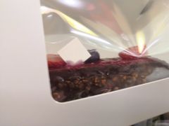 -YUMI芽米·法式烘焙·咖啡(文化宫店)