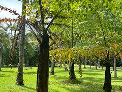 -中国科学院西双版纳热带植物园