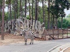 -清迈夜间动物园