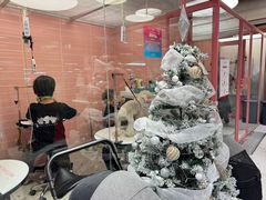-FAELING PETS美天灵宠物(合生汇店)