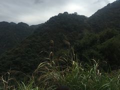 -宁波五龙潭景区