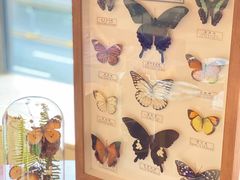 -The Lounge大堂酒廊·咖啡·沙拉·下午茶(金茂深圳JW万豪酒店)