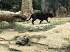 -杭州野生动物世界