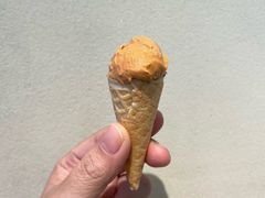 -红楼HONGLOU Gelato(淮海中路店)