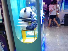 -大玩家·play1家庭娱乐中心(石狮世茂店)