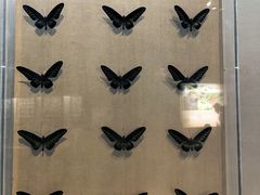 -陕西自然博物馆