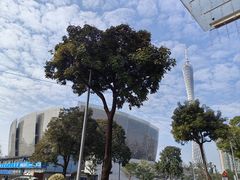 -大碗厨 25年老字号 现炒湘菜(四季天地店)